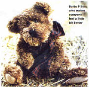 teddybear.jpg