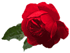 rose1l.gif