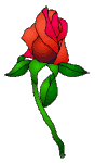 rose25.gif